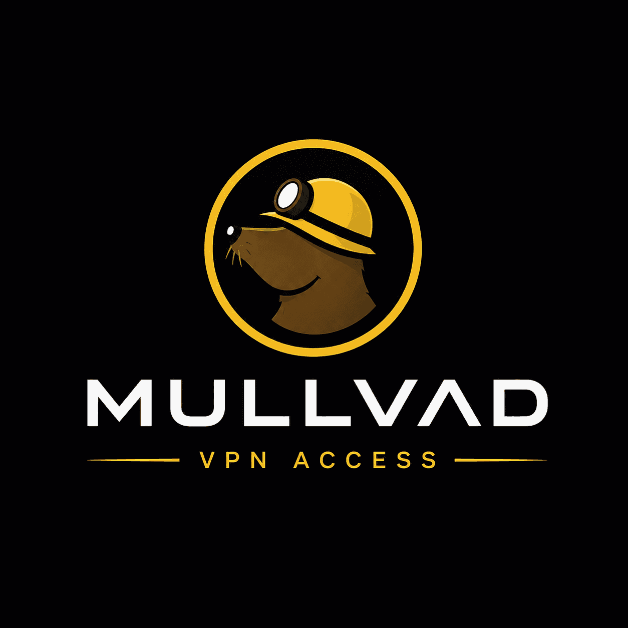 Mullvad VPN — image 1